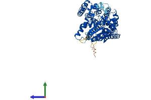 Protein Structure (PS) image for Phosphatidylinositol Glycan Anchor Biosynthesis, Class B (PIGB) (AA 1-542) protein (His tag) (ABIN7561598)