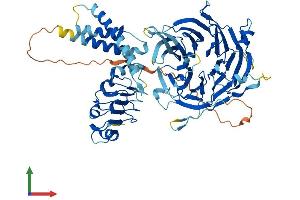 AlphaFold protein structure predicition of Human Recombinant LRWD1 Protein, UniprotID Q9UFC0 (LRWD1 Protein (AA 1-647) (His tag))