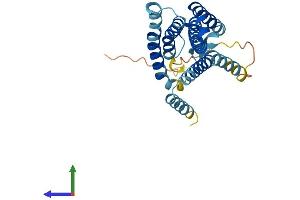 AlphaFold protein structure predicition of Human Recombinant GPR32P1 Protein, UniprotID Q8NGA4 (GPR32P1 Protein (AA 1-272) (His tag))