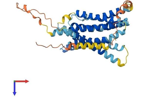 SLC39A13 Protein (AA 1-361) (His tag)