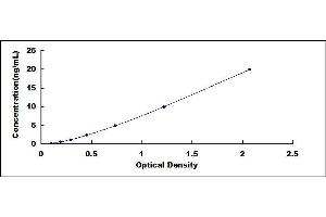 Typical standard curve (TLR8 ELISA Kit)