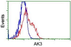 HEK293T cells transfected with either RC204408 overexpress plasmid (Red) or empty vector control plasmid (Blue) were immunostained by anti-AK3 antibody (ABIN2452718), and then analyzed by flow cytometry. (Adenylate Kinase 3 antibody)