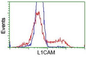 Flow Cytometry (FACS) image for anti-L1 Cell Adhesion Molecule (L1CAM) antibody (ABIN1499083) (L1CAM antibody)