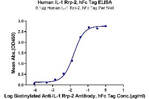 ELISA image for Interleukin 1 Receptor-Like 2 (IL1RL2) (AA 20-335) protein (Fc Tag) (ABIN7274893)