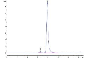 Size-exclusion chromatography-High Pressure Liquid Chromatography (SEC-HPLC) image for EPH Receptor A5 (EPHA5) (AA 25-572) protein (His tag) (ABIN7274549)