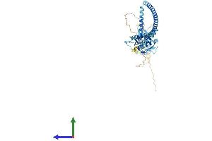 AlphaFold protein structure predicition of Human Recombinant BECN1 Protein, UniprotID Q14457 (Beclin 1 Protein (AA 1-450) (His tag))