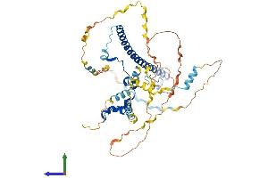 Protein Structure (PS) image for WAS Protein Family, Member 2 (WASF2) (AA 1-498) protein (His tag) (ABIN7545149)