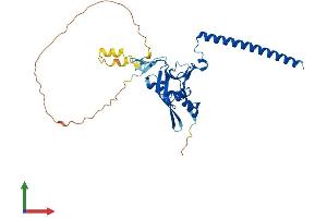 AlphaFold protein structure predicition of Human Recombinant RASSF4 Protein, UniprotID Q9H2L5