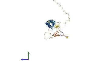 AlphaFold protein structure predicition of Mouse Recombinant Marveld3 Protein, UniprotID Q9D956
