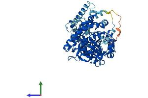 Protein Structure (PS) image for thromboxane A Synthase 1 (Platelet) (TBXAS1) (AA 1-533) protein (His tag) (ABIN7563195)