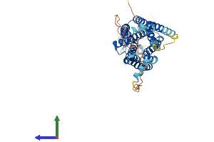 AlphaFold protein structure predicition of Mouse Recombinant Nmur2 Protein, UniprotID Q8BZ39