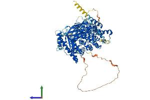 Protein Structure (PS) image for Phosphoinositide-3-Kinase, Class 3 (PIK3C3) (AA 1-887) protein (His tag) (ABIN7564122)