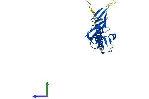 AlphaFold protein structure predicition of Human Recombinant CLEC4A Protein, UniprotID Q9UMR7 (CLEC4A Protein (AA 1-237) (His tag))