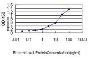 Detection limit for recombinant GST tagged DEPC-1 is approximately 0. (ALKBH3 antibody  (AA 1-139))
