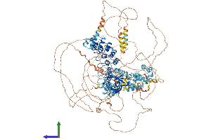 AlphaFold protein structure predicition of Mouse Recombinant Anks1b Protein, UniprotID Q8BIZ1 (ANKS1B Protein (AA 1-1259) (His tag))