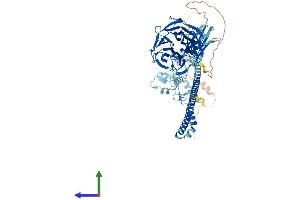 AlphaFold protein structure predicition of Human Recombinant TRIM2 Protein, UniprotID Q9C040 (TRIM2 Protein (AA 1-744) (His tag))