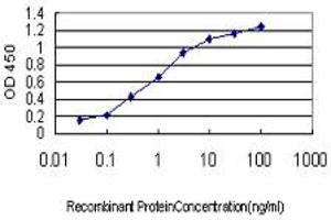 Detection limit for recombinant GST tagged PBX4 is approximately 0. (PBX4 antibody  (AA 319-374))