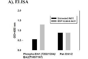 Image no. 1 for Mitogen-Activated Protein Kinase 1/3 (MAPK1/3) ELISA Kit (ABIN1981754) (ERK1/2 ELISA Kit)