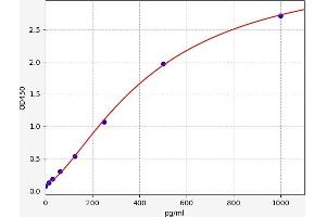 WT1 ELISA Kit