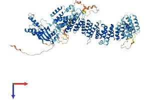 AlphaFold protein structure predicition of Human Recombinant ZSWIM4 Protein, UniprotID Q9H7M6 (ZSWIM4 Protein (AA 1-989) (His tag))