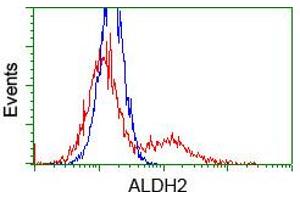 Image no. 1 for anti-Aldehyde Dehydrogenase 2 Family (Mitochondrial) (ALDH2) antibody (ABIN1496589) (ALDH2 antibody)