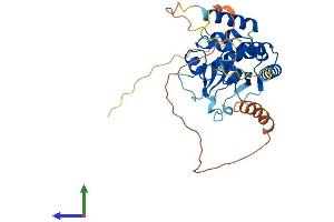 AlphaFold protein structure predicition of Mouse Recombinant Tsr3 Protein, UniprotID Q5HZH2 (TSR3 Protein (AA 1-323) (His tag))