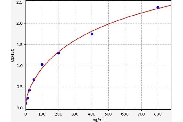 C8A ELISA Kit