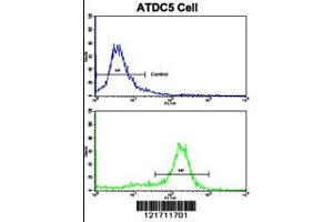 Flow cytometric analysis of ATDC5 cells using MSRB2 Antibody (bottom histogram) compared to a negative control cell (top histogram). (MSRB2 antibody  (AA 44-73))