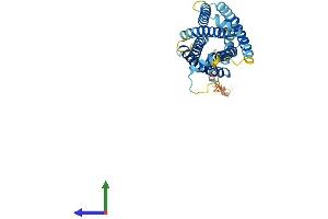 AlphaFold protein structure predicition of Mouse Recombinant Mrgprd Protein, UniprotID Q91ZB8