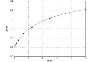 Solute Carrier Family 2 (Facilitated Glucose Transporter), Member 1 (SLC2A1) ELISA Kit