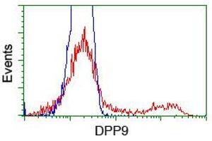 HEK293T cells transfected with either RC224465 overexpress plasmid (Red) or empty vector control plasmid (Blue) were immunostained by anti-DPP9 antibody (ABIN2455318), and then analyzed by flow cytometry. (DPP9 antibody)