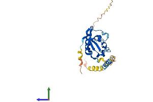 Protein Structure (PS) image for Progesterone Receptor Membrane Component 2 (PGRMC2) (AA 1-223) protein (His tag) (ABIN7550696)