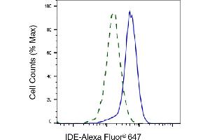 Validation of IDE knockdown using flow cytometry. (Recombinant IDE antibody)