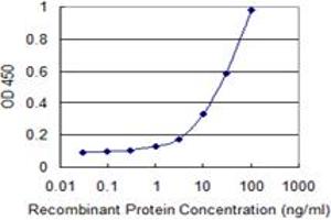 Detection limit for recombinant GST tagged ARNT2 is 0. (ARNT2 antibody  (AA 464-563))