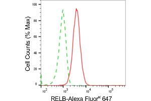 Flow cytometric analysis of RELB expression in C2C12 cells using RELB antibody (ABIN7800805), 1:2,000). (Recombinant RELB antibody)
