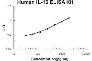 Human IL-16 Accusignal ELISA Kit Human IL-16 AccuSignal ELISA Kit standard curve. (IL16 ELISA Kit)