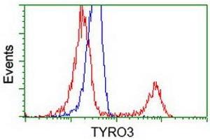 Image no. 2 for anti-TYRO3 Protein Tyrosine Kinase (TYRO3) antibody (ABIN1501603)