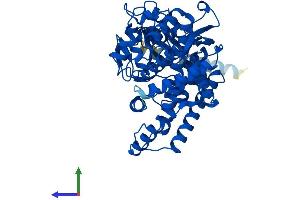 AlphaFold protein structure predicition of Mouse Recombinant Cyp2a5 Protein, UniprotID P20852 (CYP2A5 Protein (AA 1-494) (His tag))