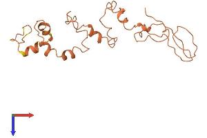 AlphaFold protein structure predicition of Human Recombinant KRTAP4-11 Protein, UniprotID Q9BYQ6