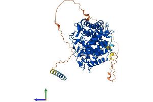 Protein Structure (PS) image for ER Degradation Enhancer, Mannosidase alpha-Like 1 (EDEM1) (AA 1-657) protein (His tag) (ABIN7553788)
