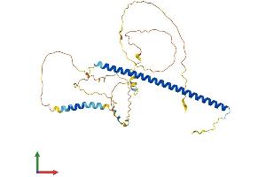 AlphaFold protein structure predicition of Mouse Recombinant Jund Protein, UniprotID P15066