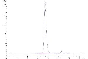 The purity of Biotinylated Human PD-1 is greater than 95 % as determined by SEC-HPLC. (PD-1 Protein (AA 25-167) (His-Avi Tag,Biotin))