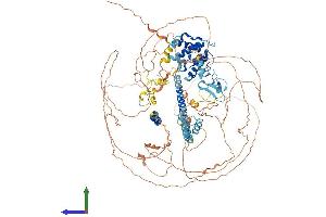 AlphaFold protein structure predicition of Mouse Recombinant Limch1 Protein, UniprotID Q3UH68