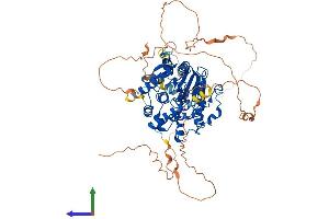 AlphaFold protein structure predicition of Human Recombinant MTMR14 Protein, UniprotID Q8NCE2 (MTMR14 Protein (AA 1-650) (His tag))