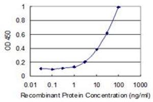 Detection limit for recombinant GST tagged AKIRIN2 is 0. (AKIRIN2 antibody  (AA 1-203))