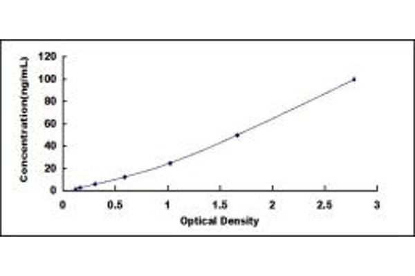 Transferrin ELISA Kit