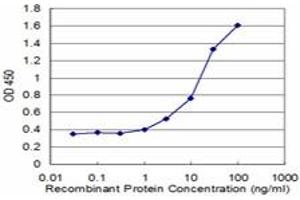 Detection limit for recombinant GST tagged RAD1 is approximately 1ng/ml as a capture antibody. (RAD1 antibody  (AA 1-90))