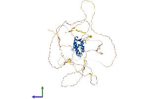 AlphaFold protein structure predicition of Mouse Recombinant Foxn1 Protein, UniprotID Q61575 (FOXN1 Protein (AA 1-648) (His tag))