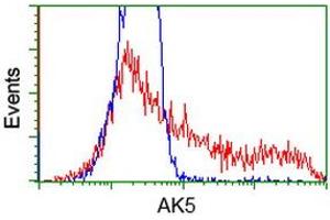 Flow Cytometry (FACS) image for anti-Adenylate Kinase 5 (AK5) antibody (ABIN1496534) (Adenylate Kinase 5 antibody)