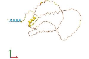 AlphaFold protein structure predicition of Human Recombinant INS-IGF2 Protein, UniprotID F8WCM5 (INS-IGF2 Protein (AA 1-200) (His tag))